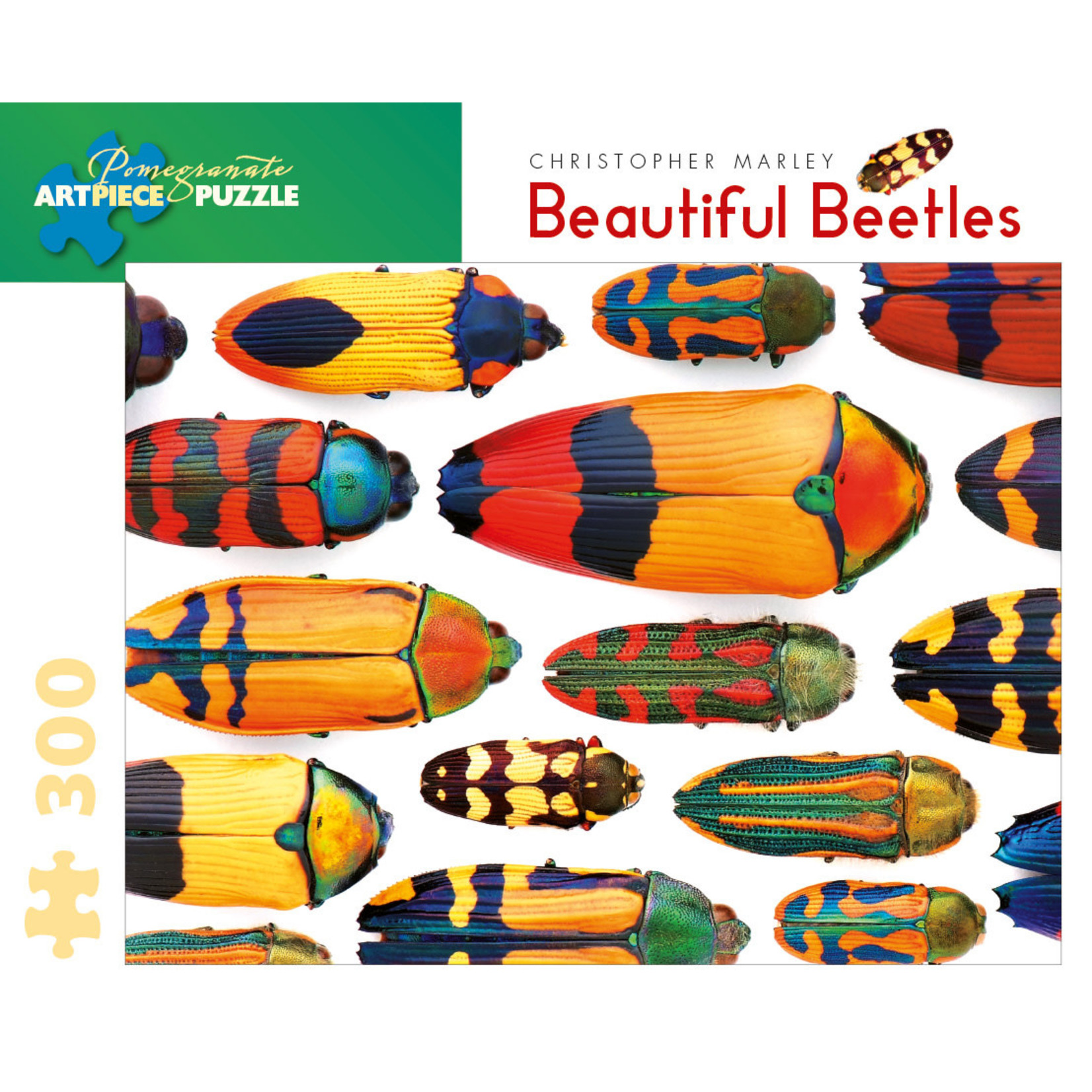 Pomegranate Puzzles Beautiful Beetles, C. Marley 300pc
