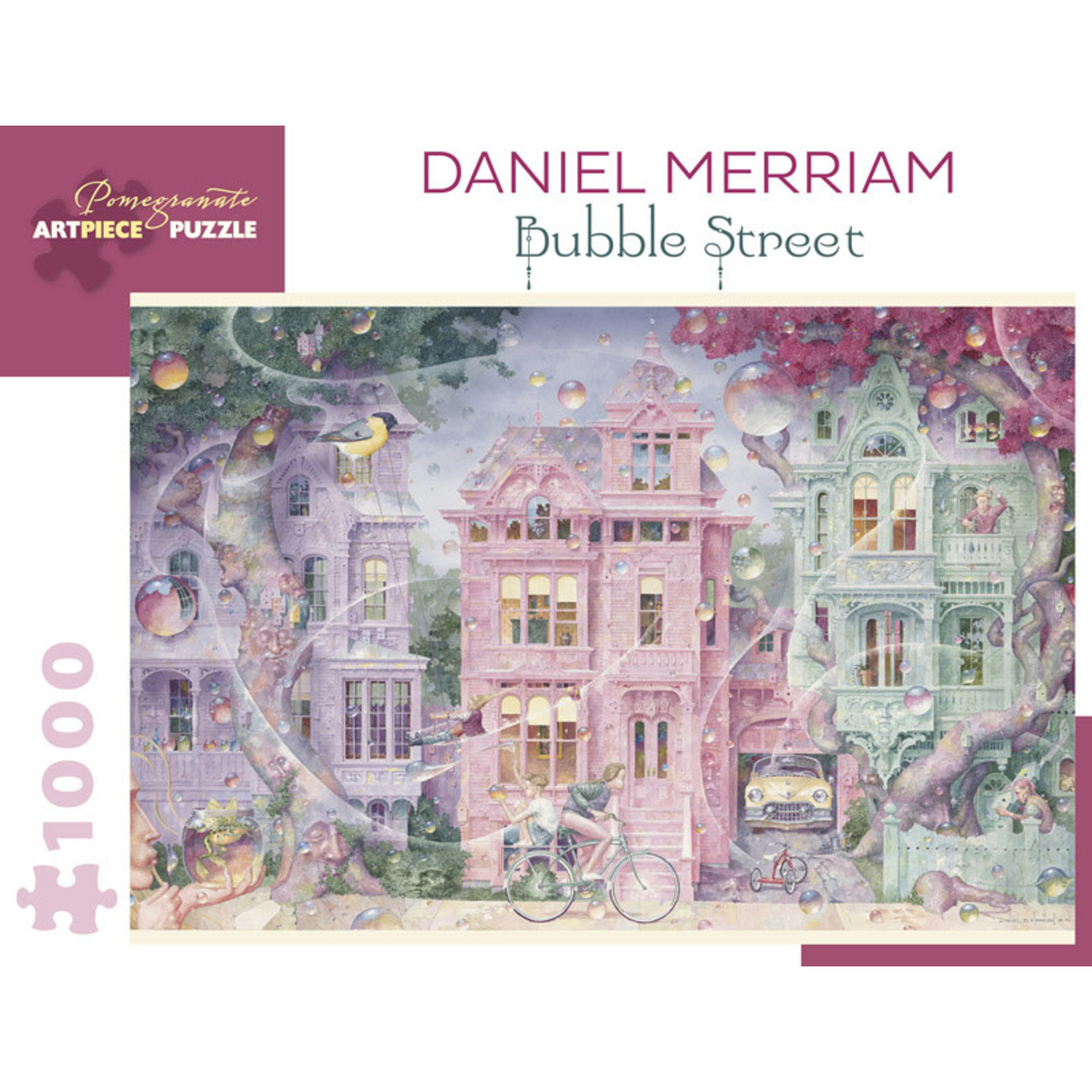Pomegranate Puzzles Bubble Street, D. Merriam 1000pc
