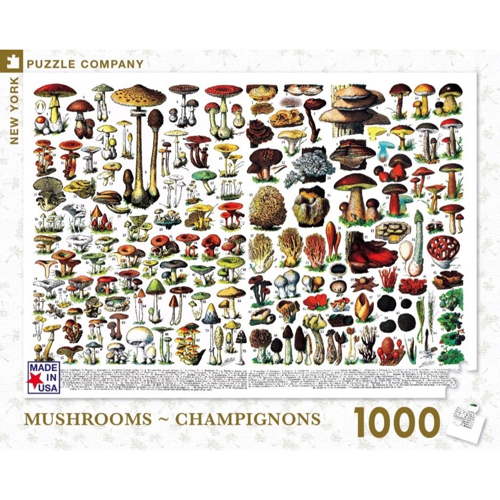 New York Puzzle Co Vintage: Mushrooms 1000pc