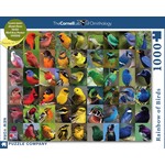 New York Puzzle Co Cornell Lab: Rainbow of Birds 1000pc