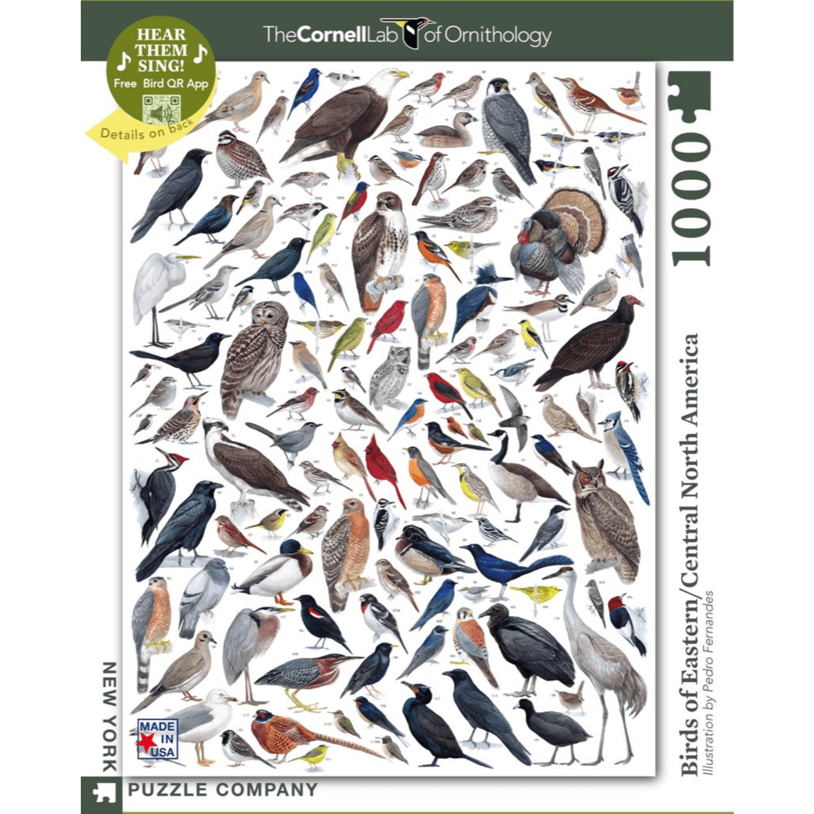 New York Puzzle Co Cornell Lab: Birds of Eastern/Central NA 1000pc