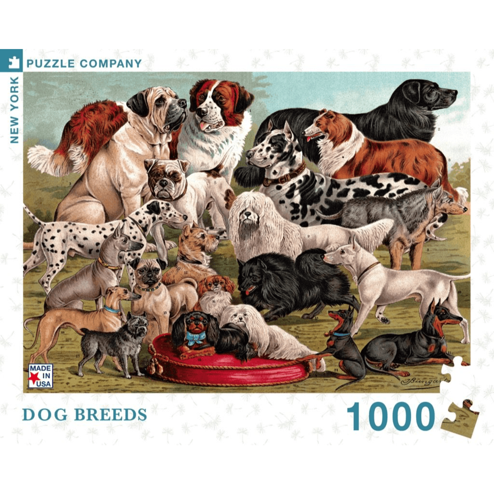 New York Puzzle Co Vintage: Dog Breeds 1000pc