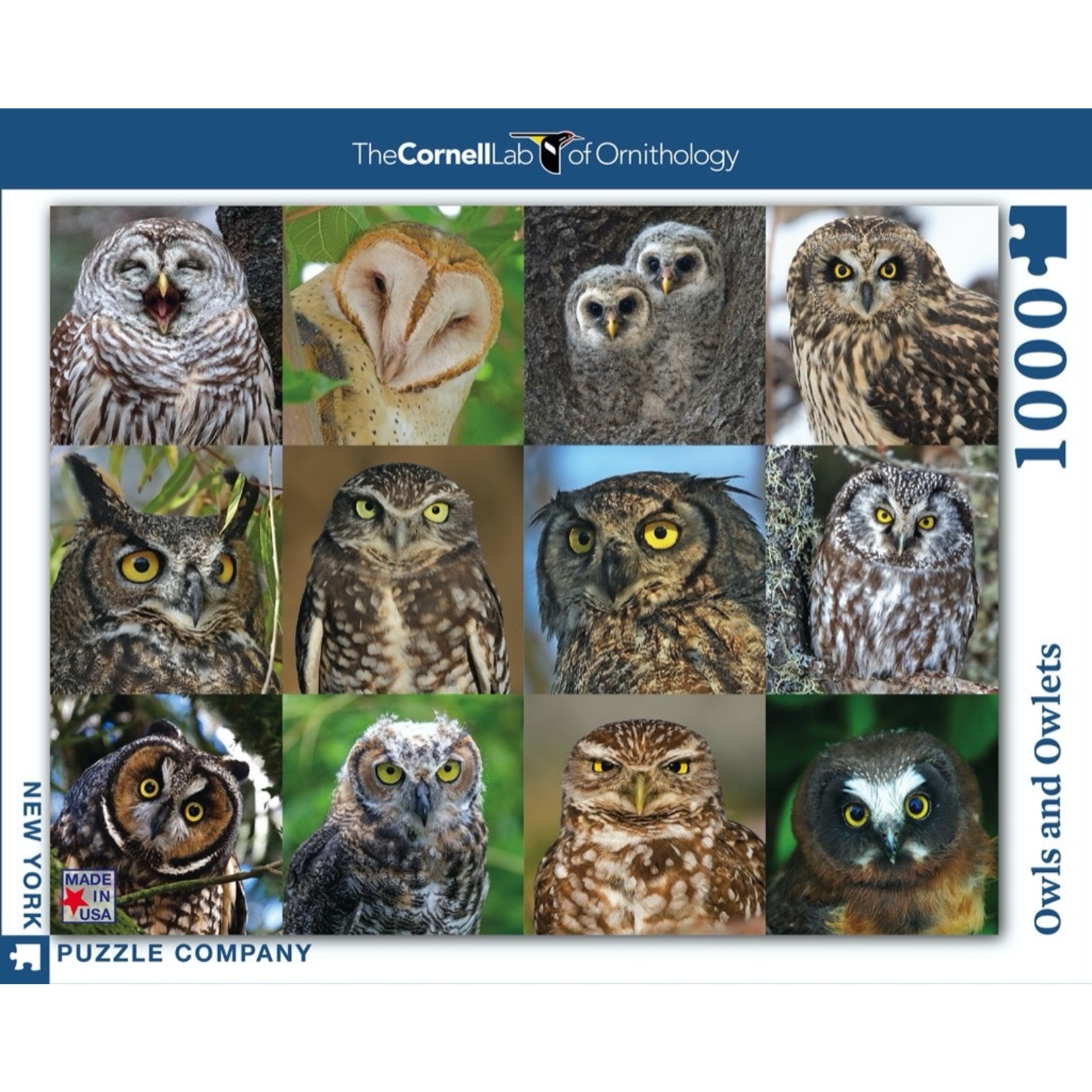 New York Puzzle Co Cornell Lab: Owls and Owlets 1000pc