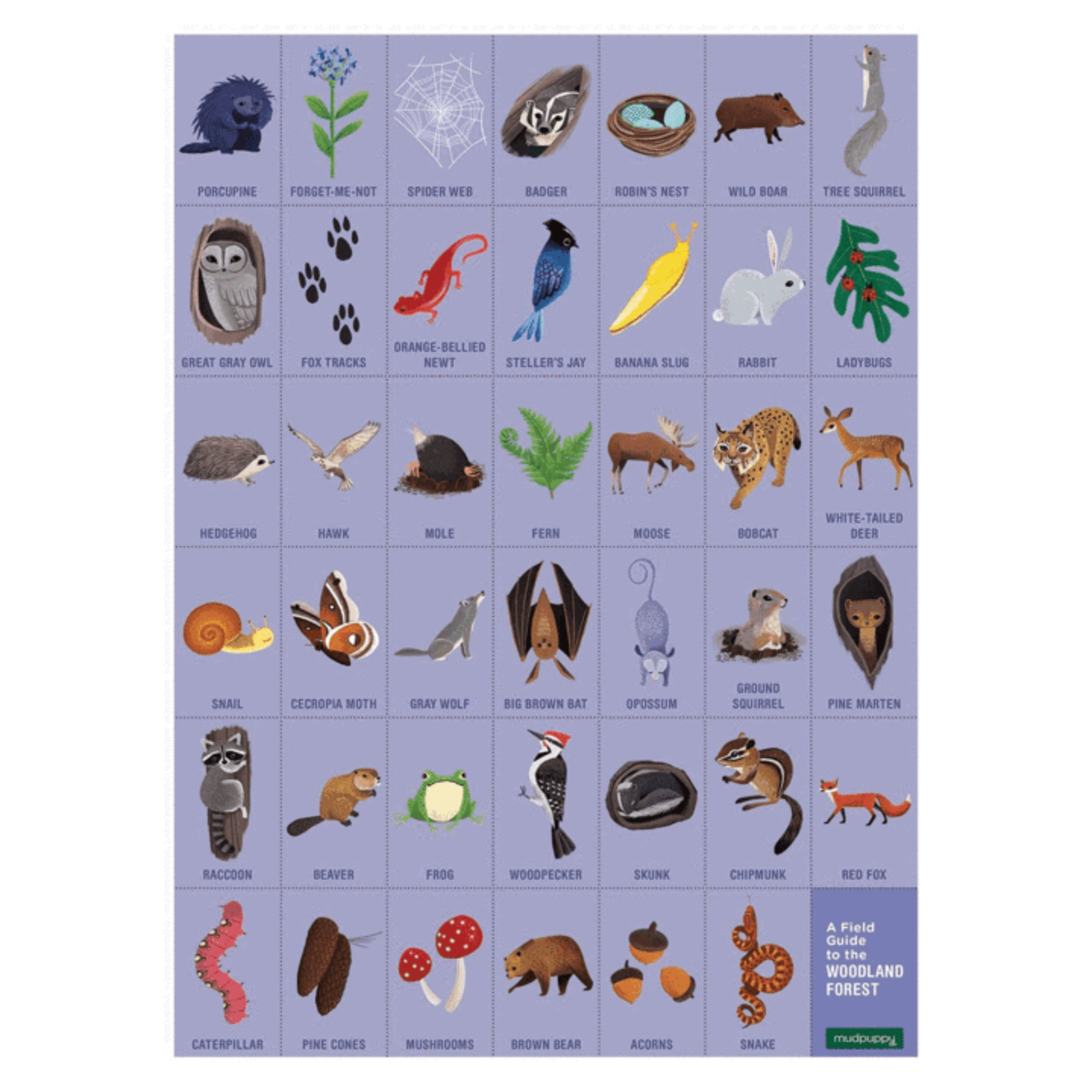 Mudpuppy Search & Find: Woodland Forest 64pc