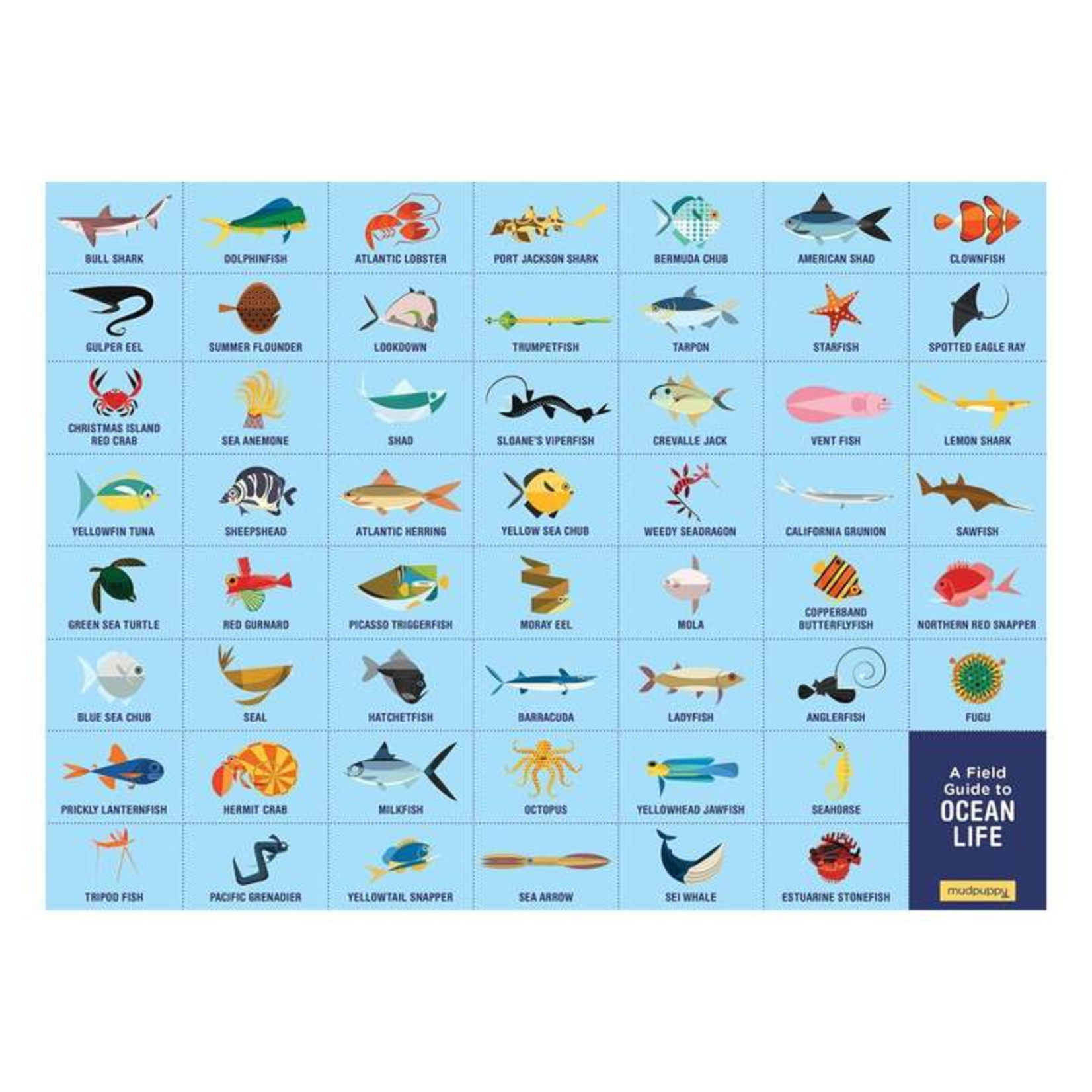 Mudpuppy Search & Find: Ocean Life 64pc