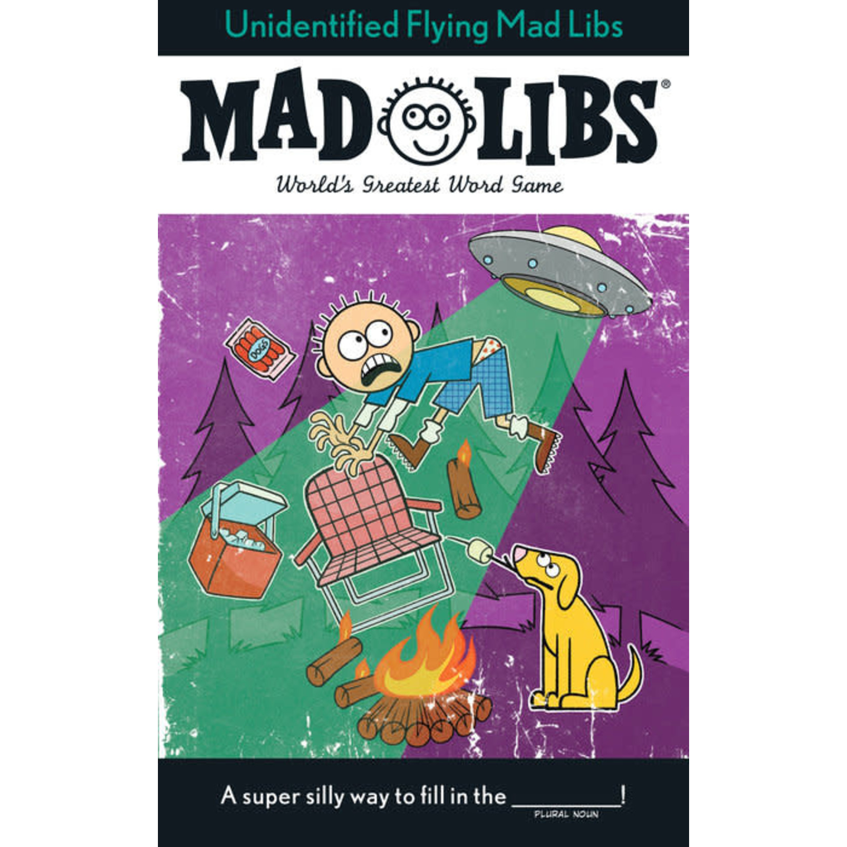 Mad Libs: Unidentified Flying