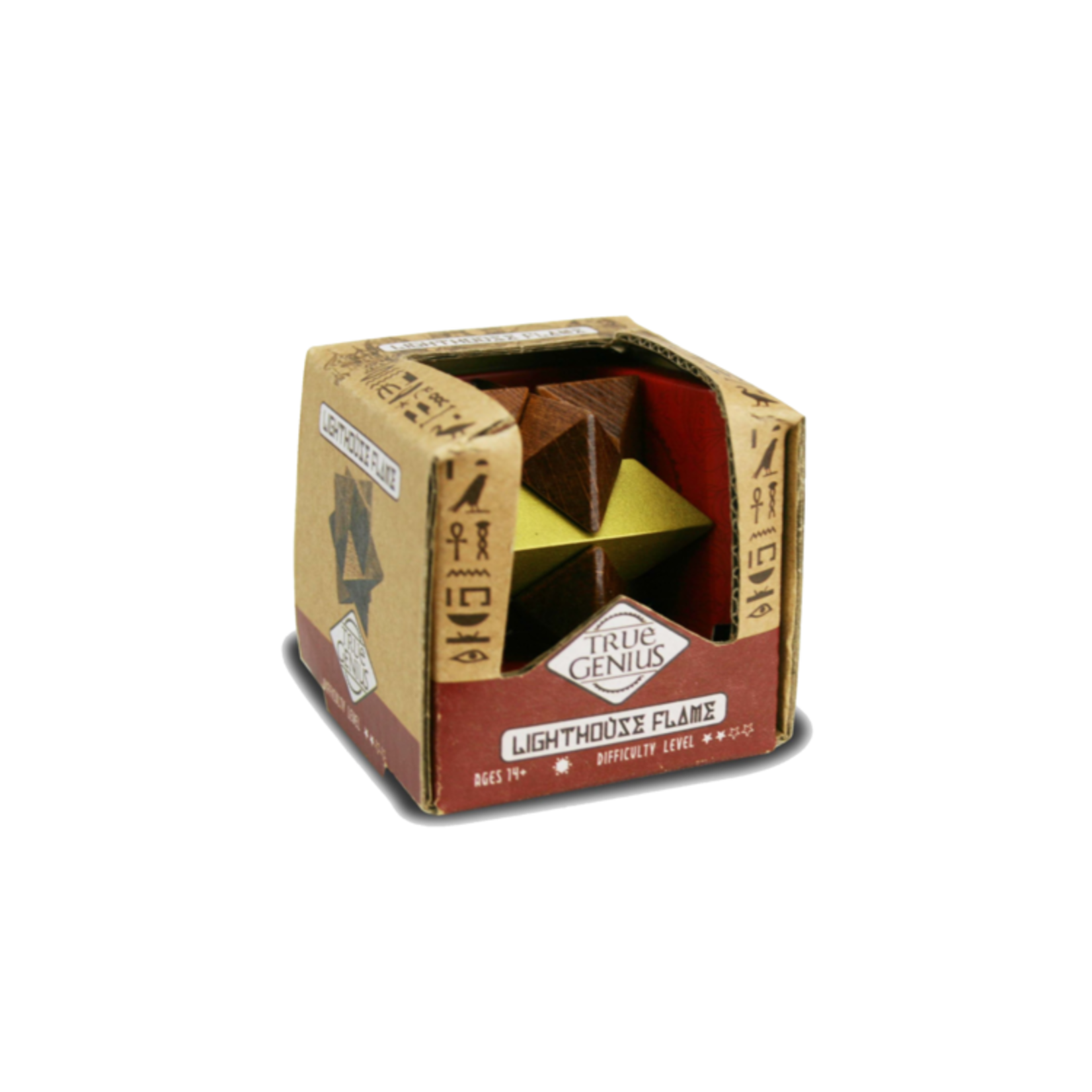 Project Genius True Genius: Lighthouse Flame