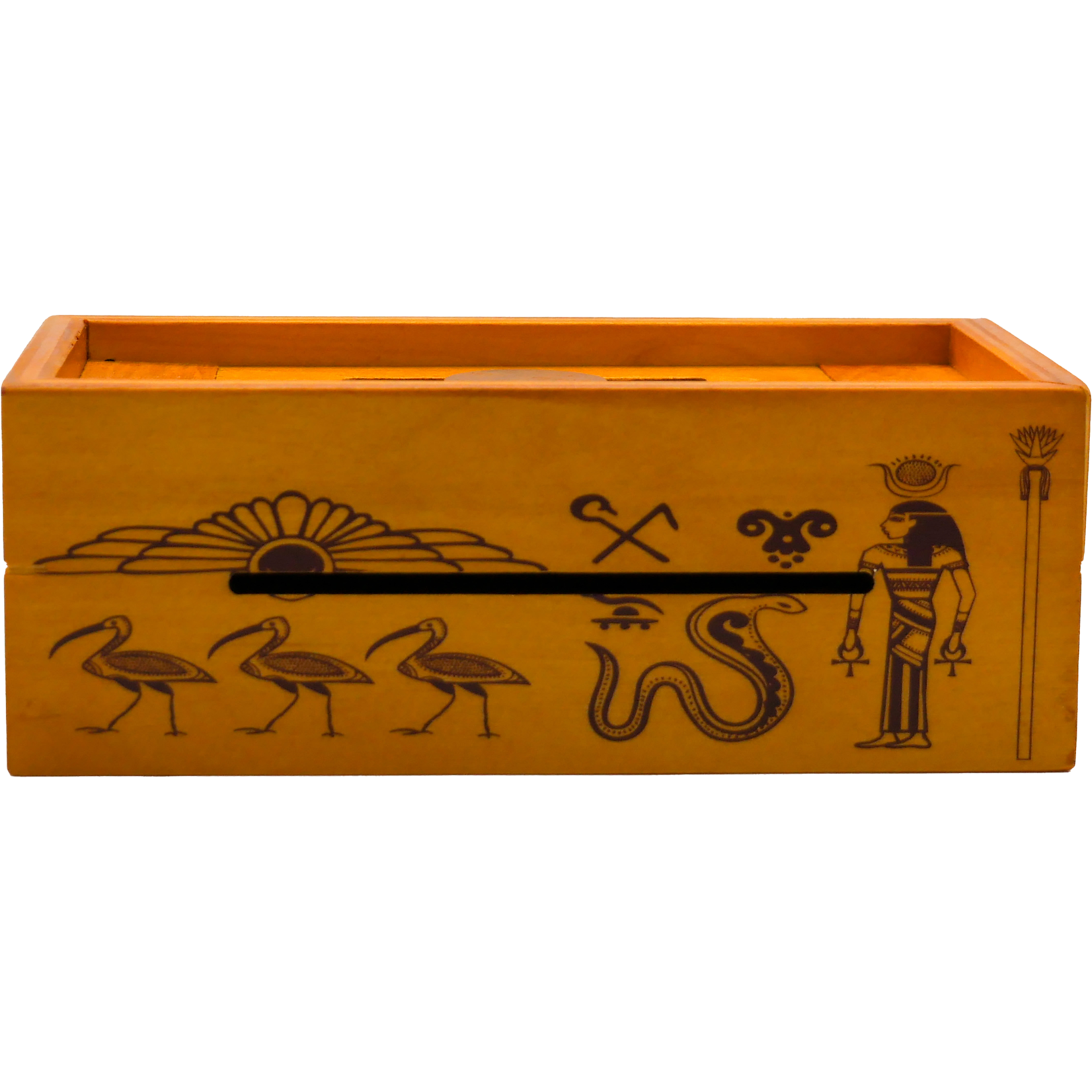 Project Genius Puzzle Gift Box: Pharaoh's Tomb