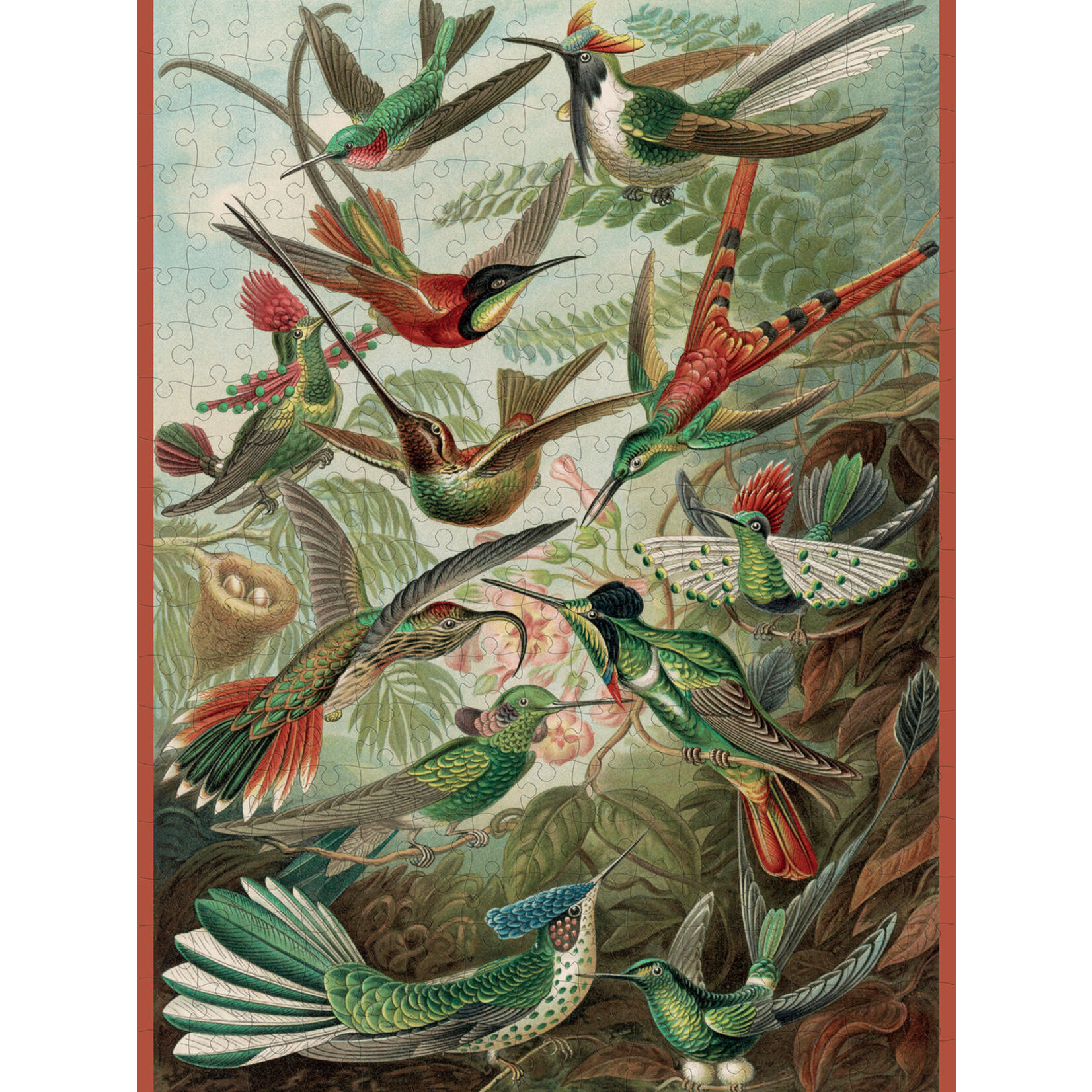 Pomegranate Puzzles Hummingbirds, Ernst Haeckel 300pc