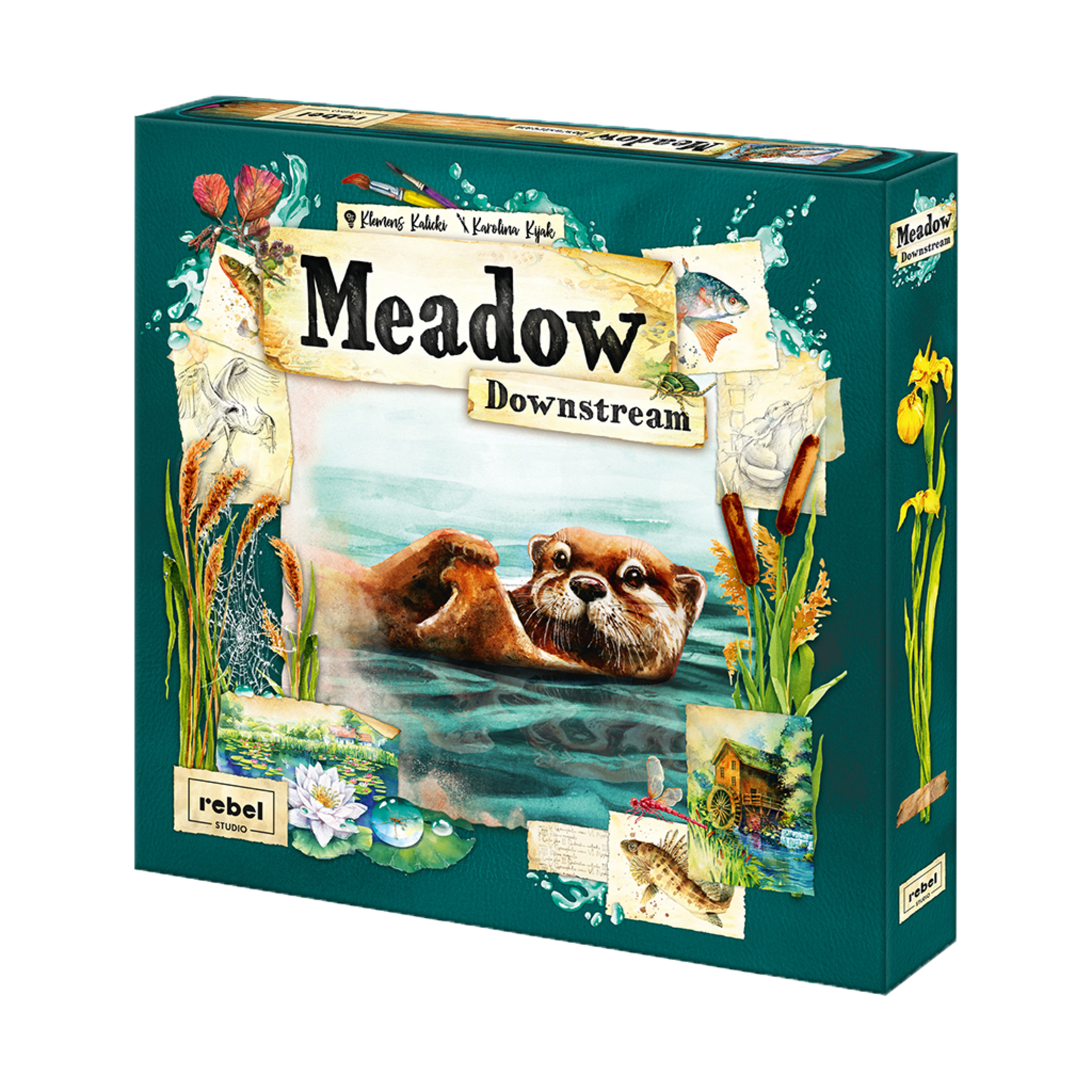 Rebel Studio Meadow: Downstream Exp