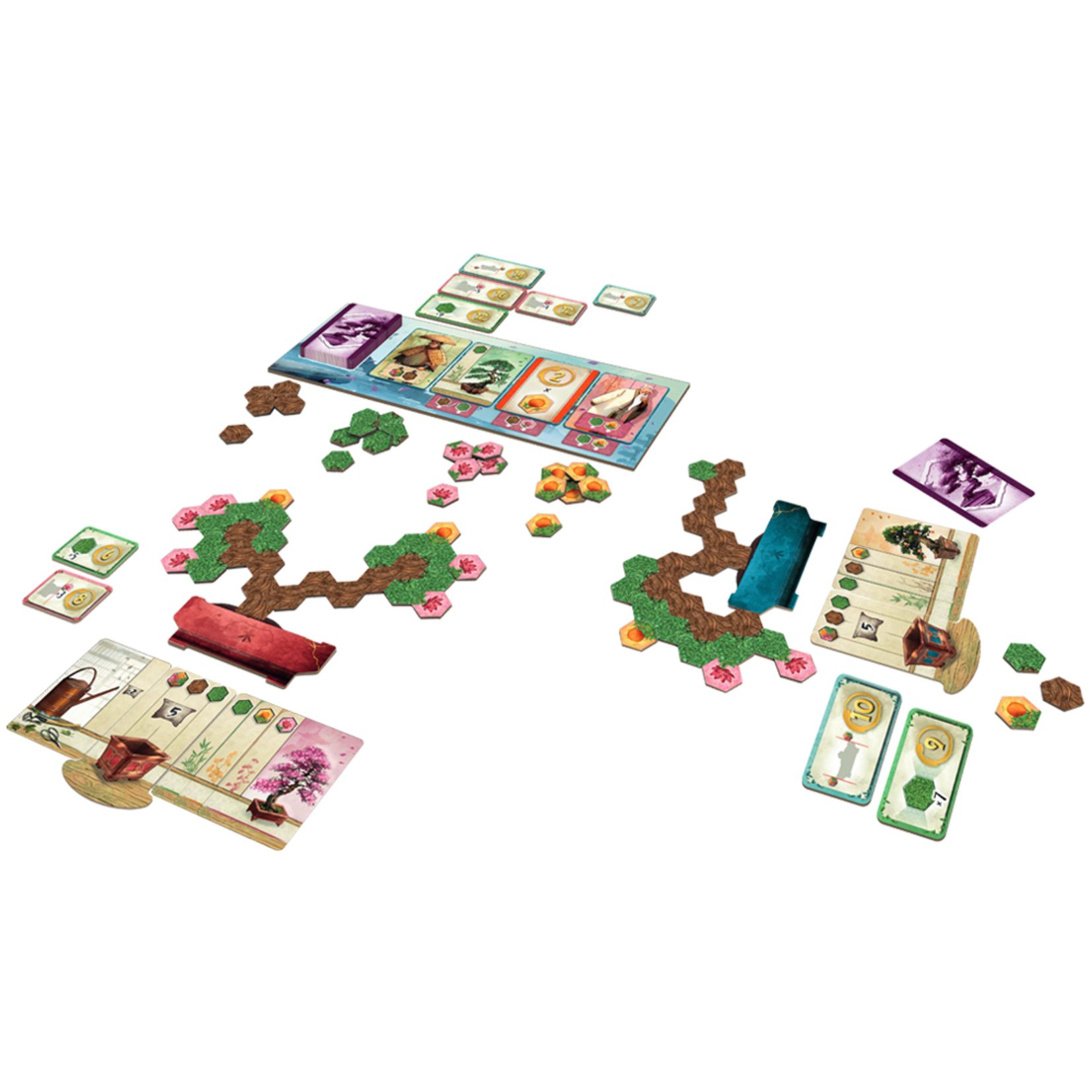 DAVINCI EDITRICE Bonsai