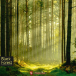 Capstone Games Black Forest