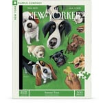 New York Puzzle Co NY: Summer Treat 500pc