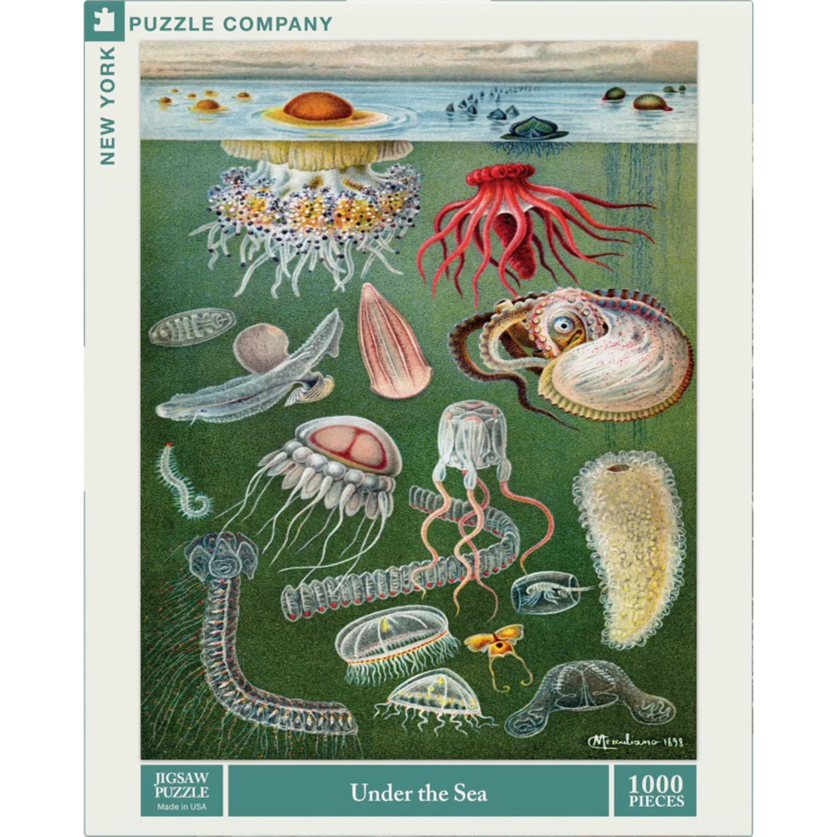 New York Puzzle Co Vintage: Under the Sea 1000pc