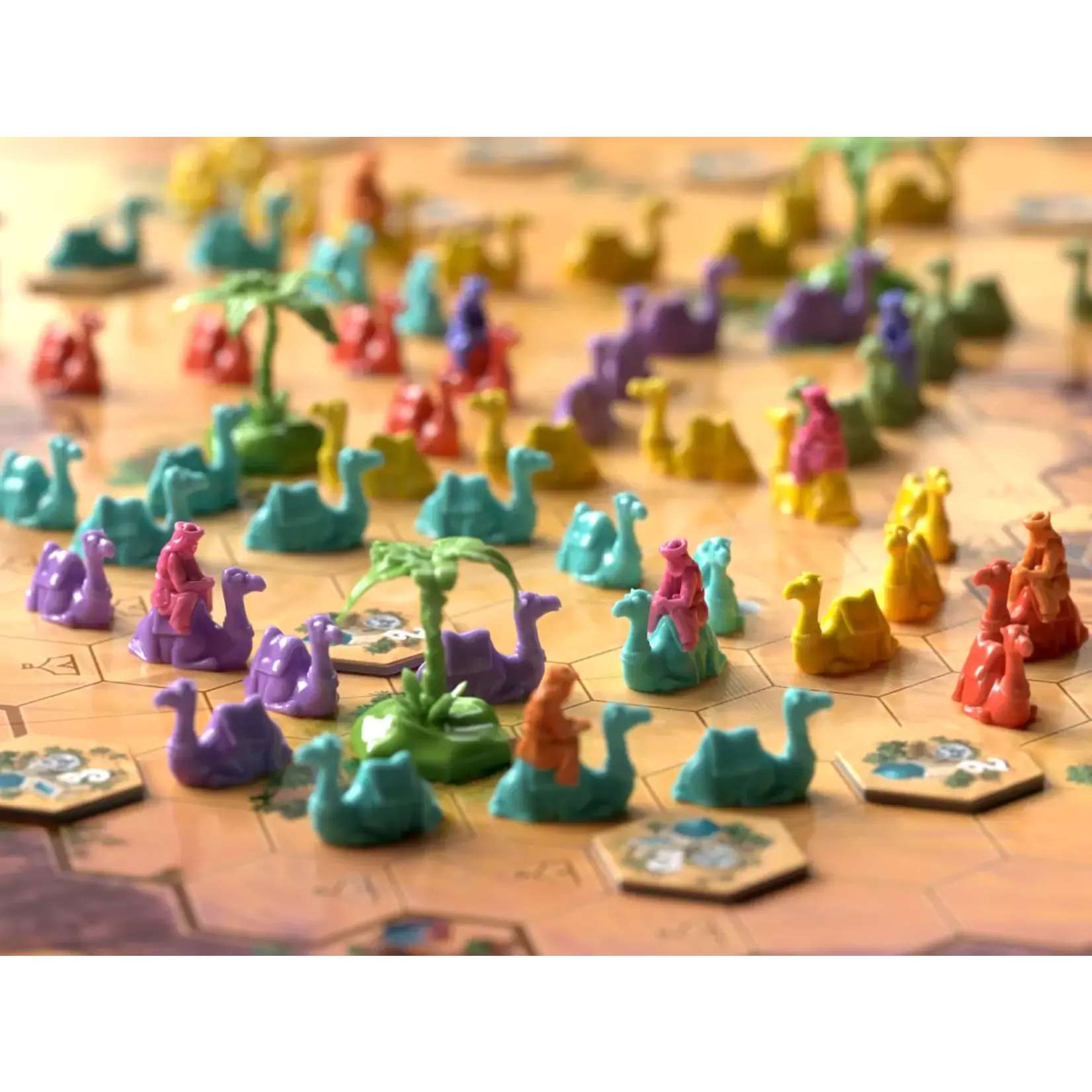 Allplay Through the Desert