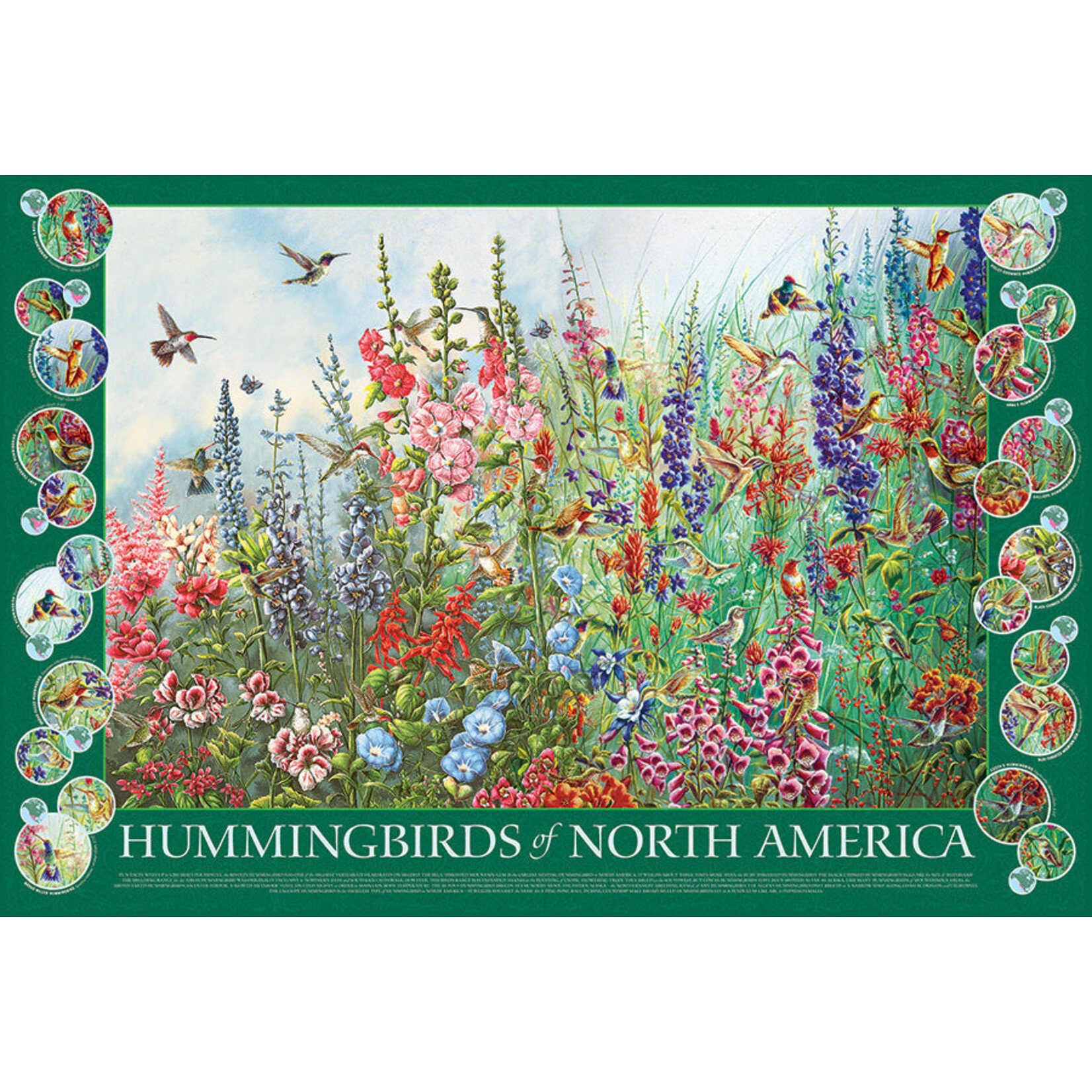 Cobble Hill Puzzles Hummingbirds of North America 2000pc