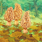 Monthly Best Sellers