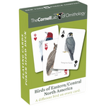 New York Puzzle Co Cards: Birds of Eastern/Central North America