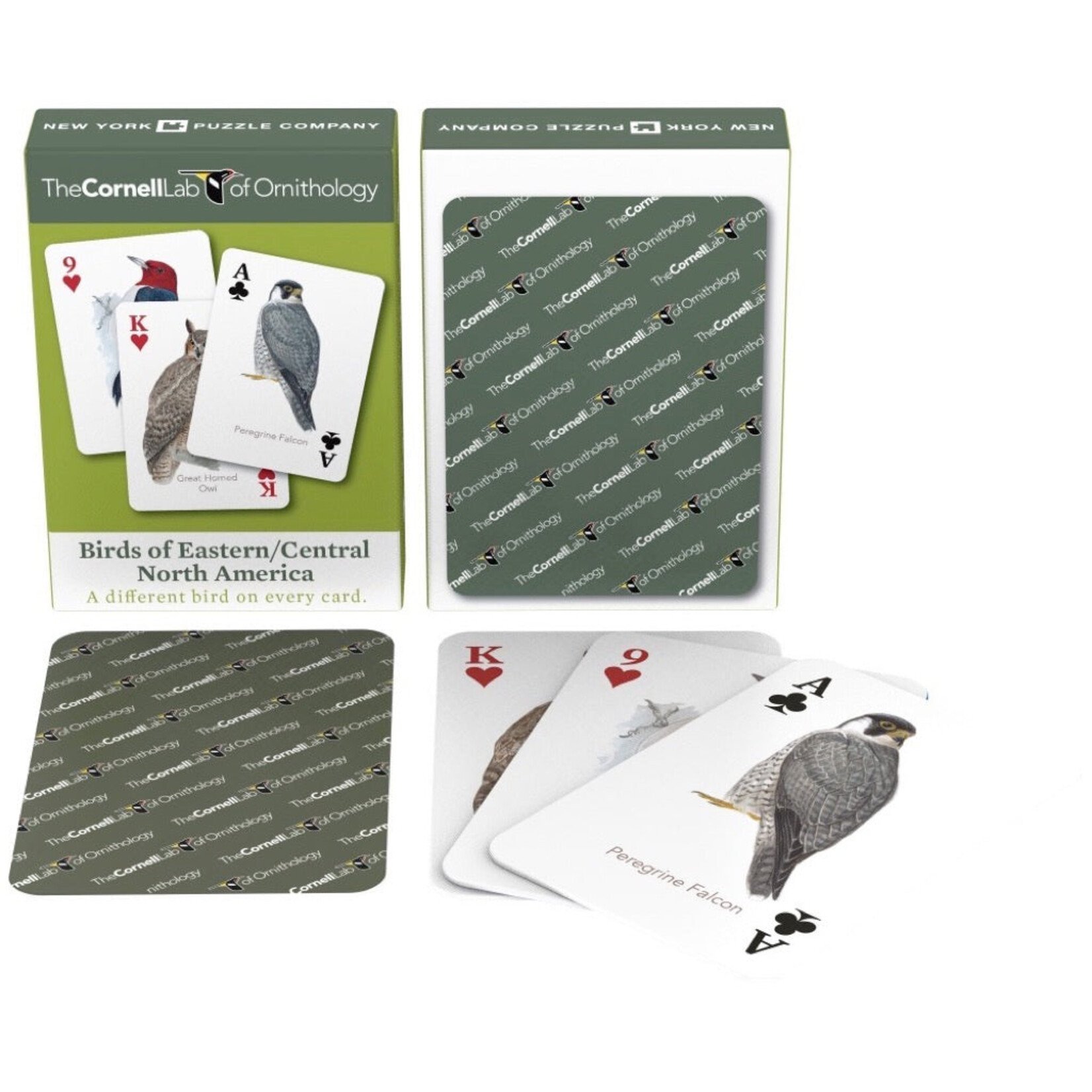 New York Puzzle Co Cards: Birds of Eastern/Central North America
