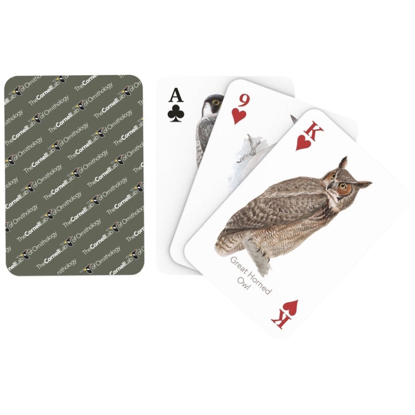 New York Puzzle Co Cards: Birds of Eastern/Central North America