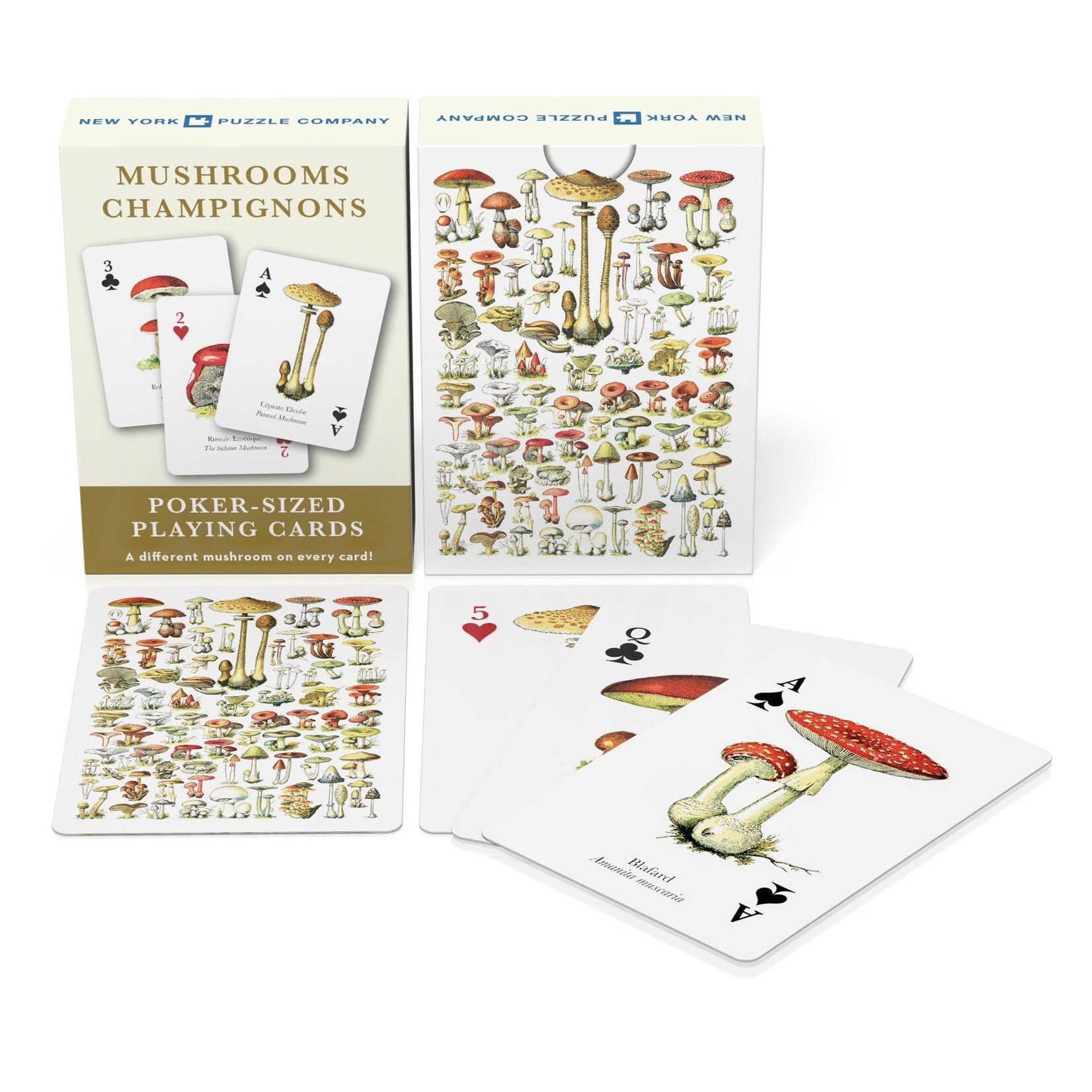 New York Puzzle Co Cards: Mushrooms