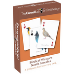 New York Puzzle Co Cards: Birds of Western North America