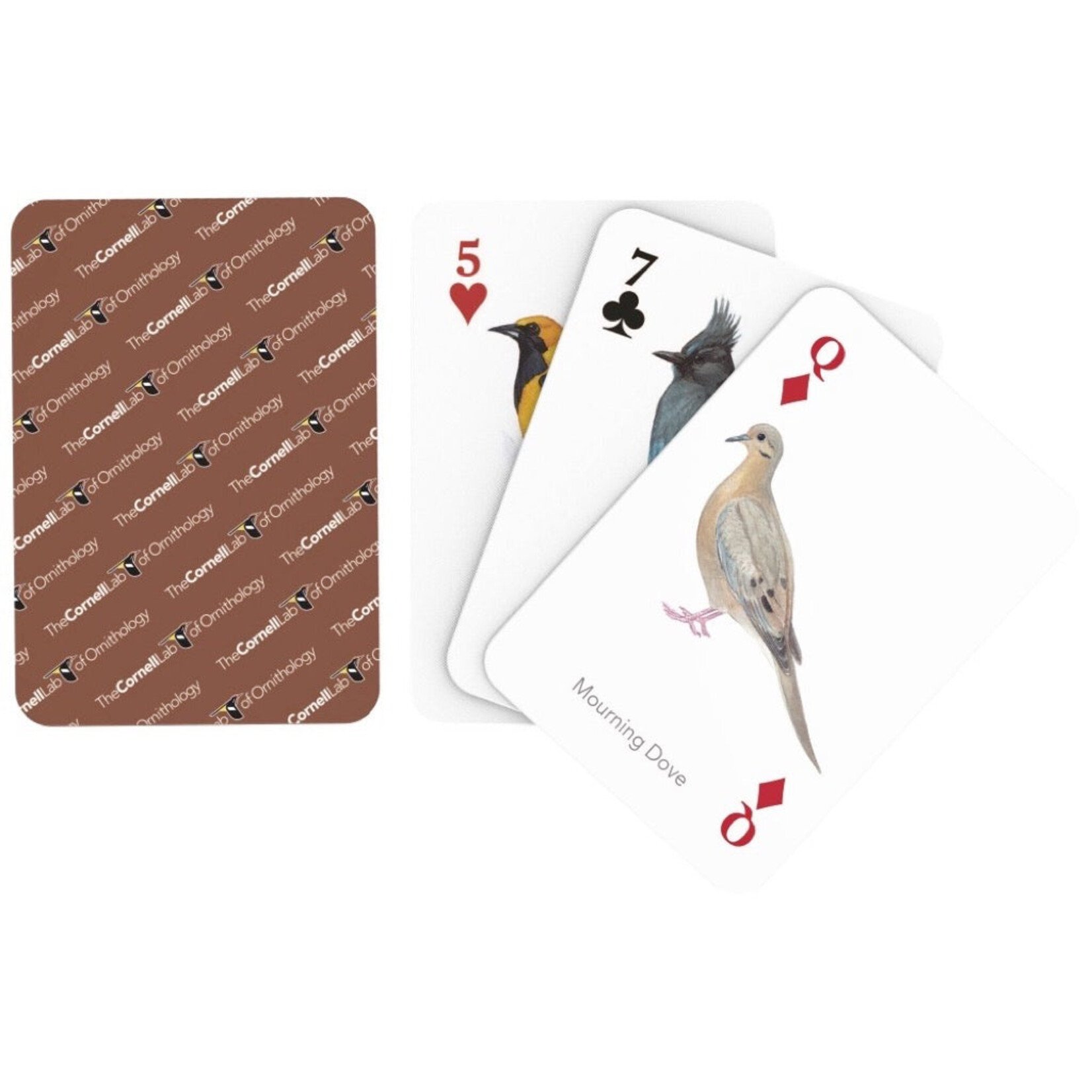 New York Puzzle Co Cards: Birds of Western North America