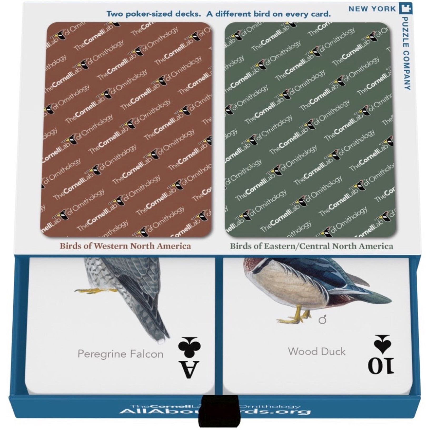 New York Puzzle Co Cards: Cornell Birds Double Deck