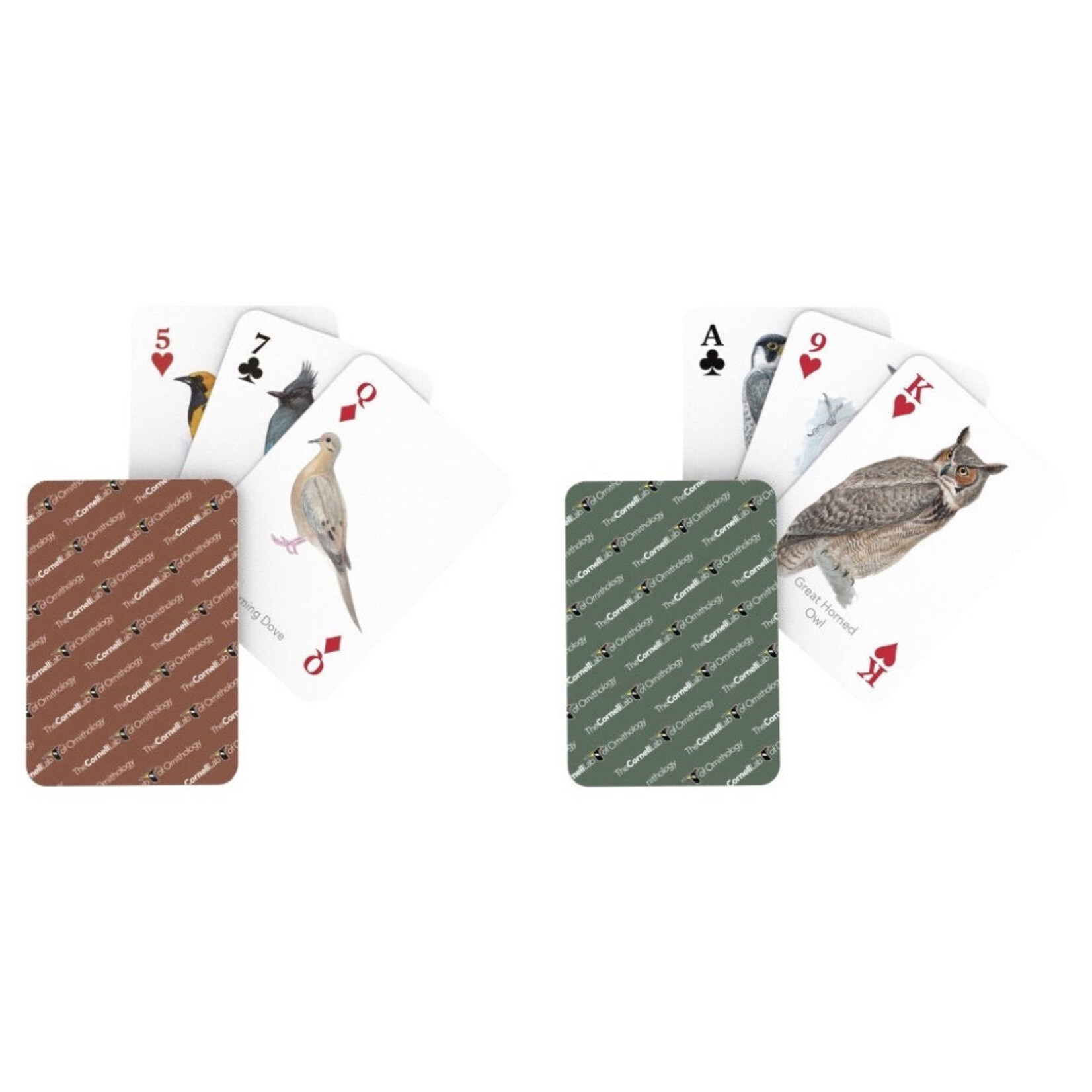 New York Puzzle Co Cards: Cornell Birds Double Deck