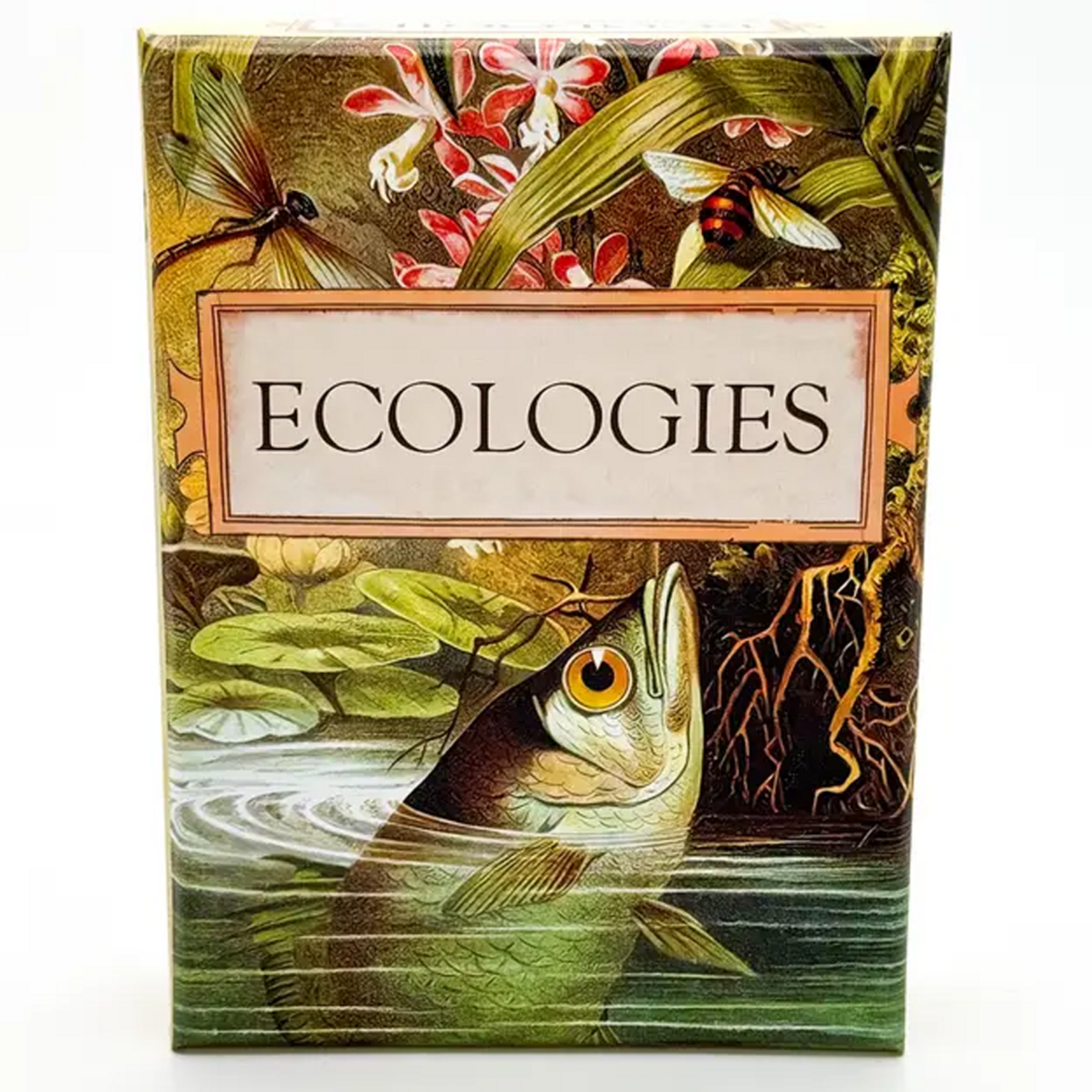 Montrose Biology Ecologies