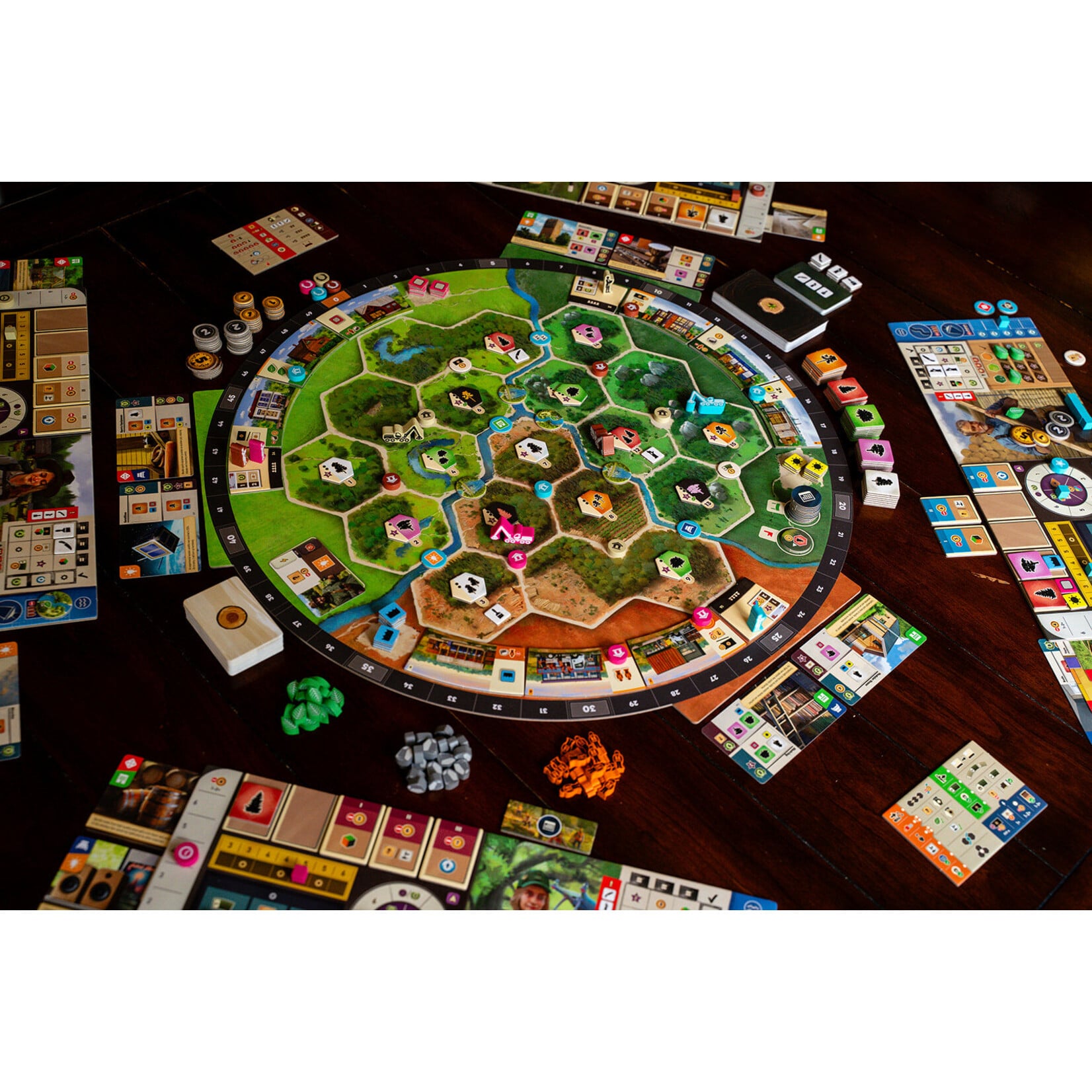 Capstone Games Forestry