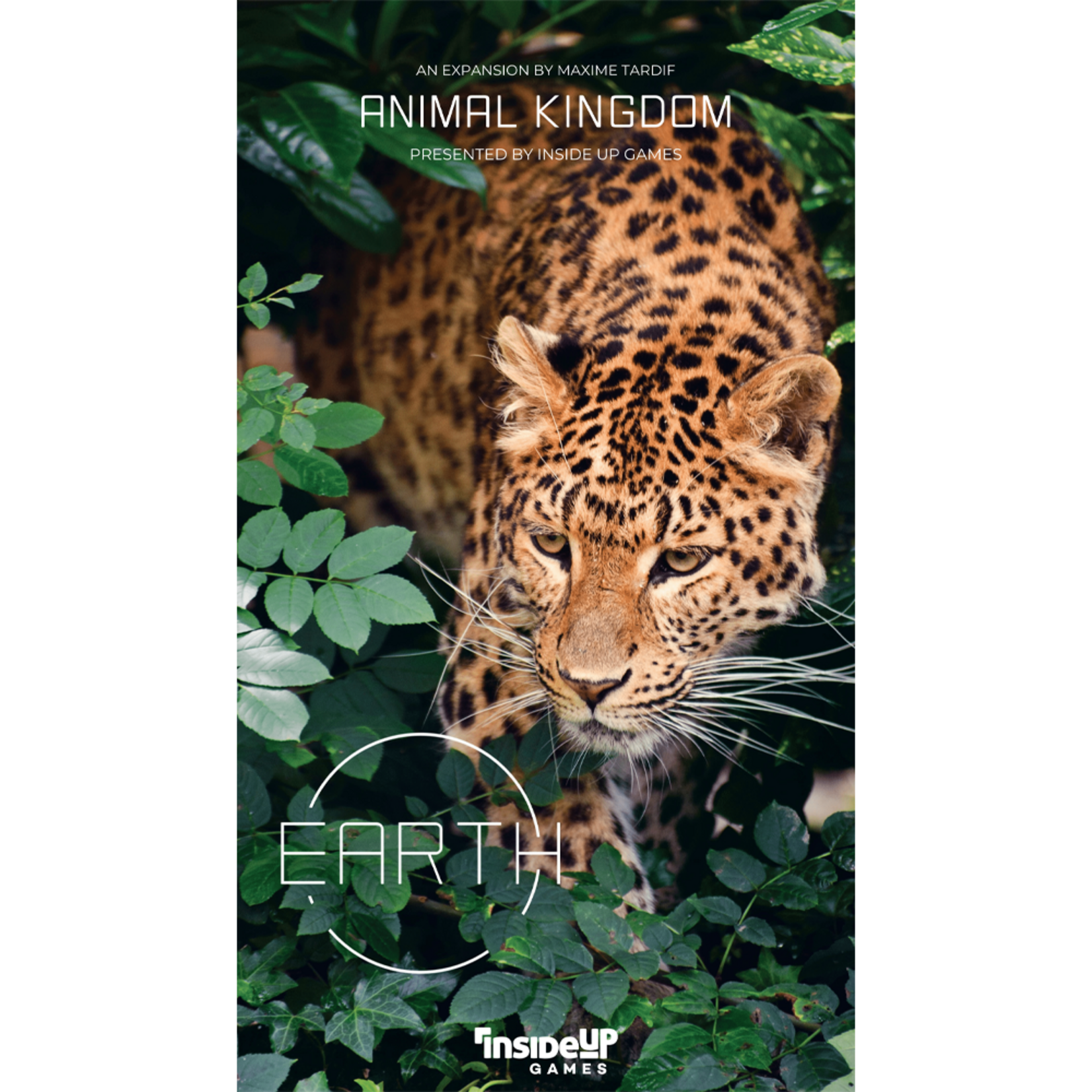 Inside Up Games Earth: Animal Kingdom Exp