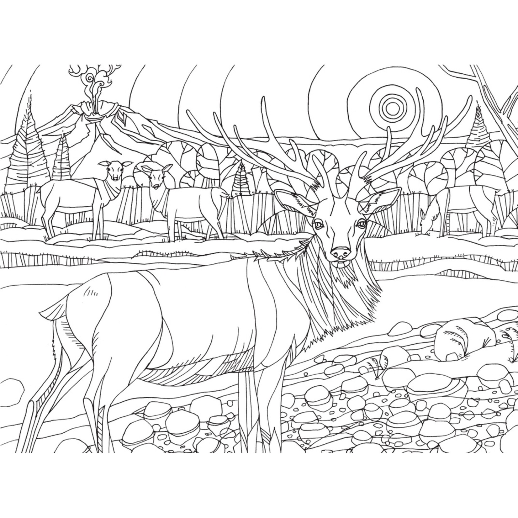 Mountaineer Books Coloring Book: Pacific Northwest Nature