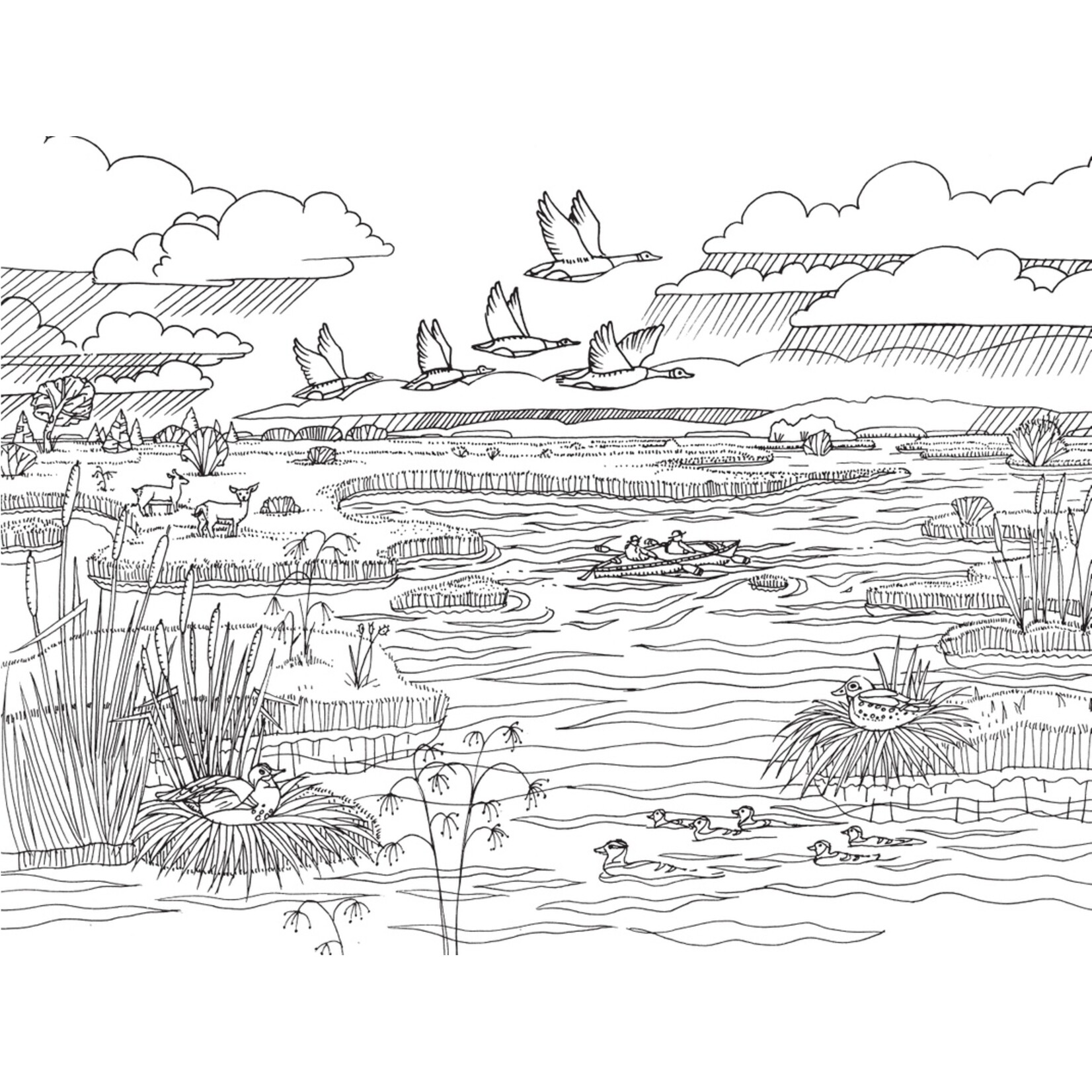Mountaineer Books Coloring Book: Pacific Northwest Nature