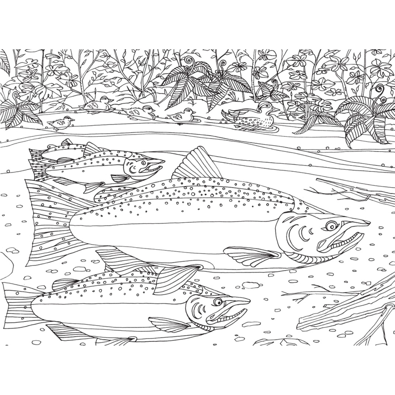 Mountaineer Books Coloring Book: Pacific Northwest Nature