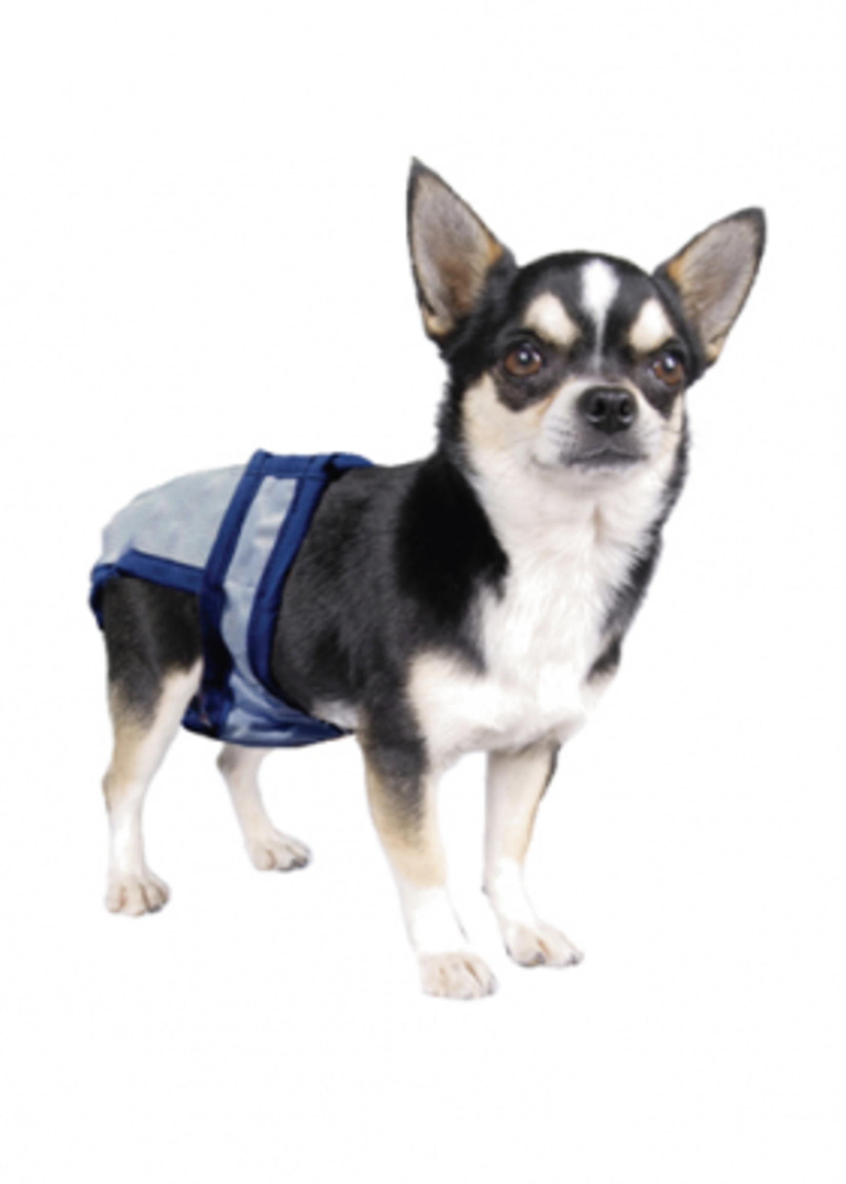 POOCH PAD PP - PoochPant - Gray - XXS up to 4lbs