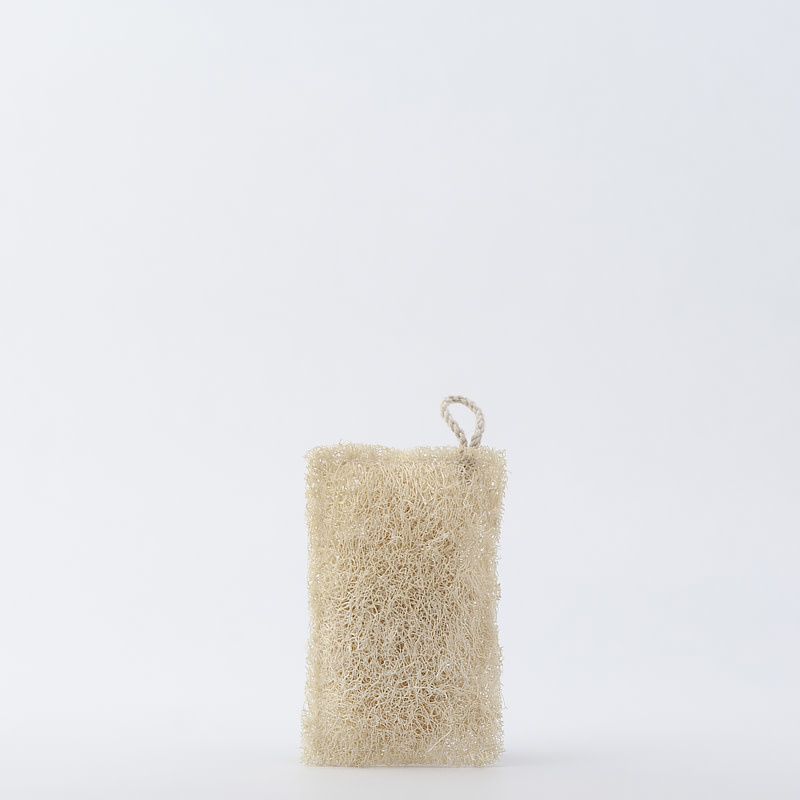 https://cdn.shoplightspeed.com/shops/638123/files/36766167/loofah-dish-sponge.jpg