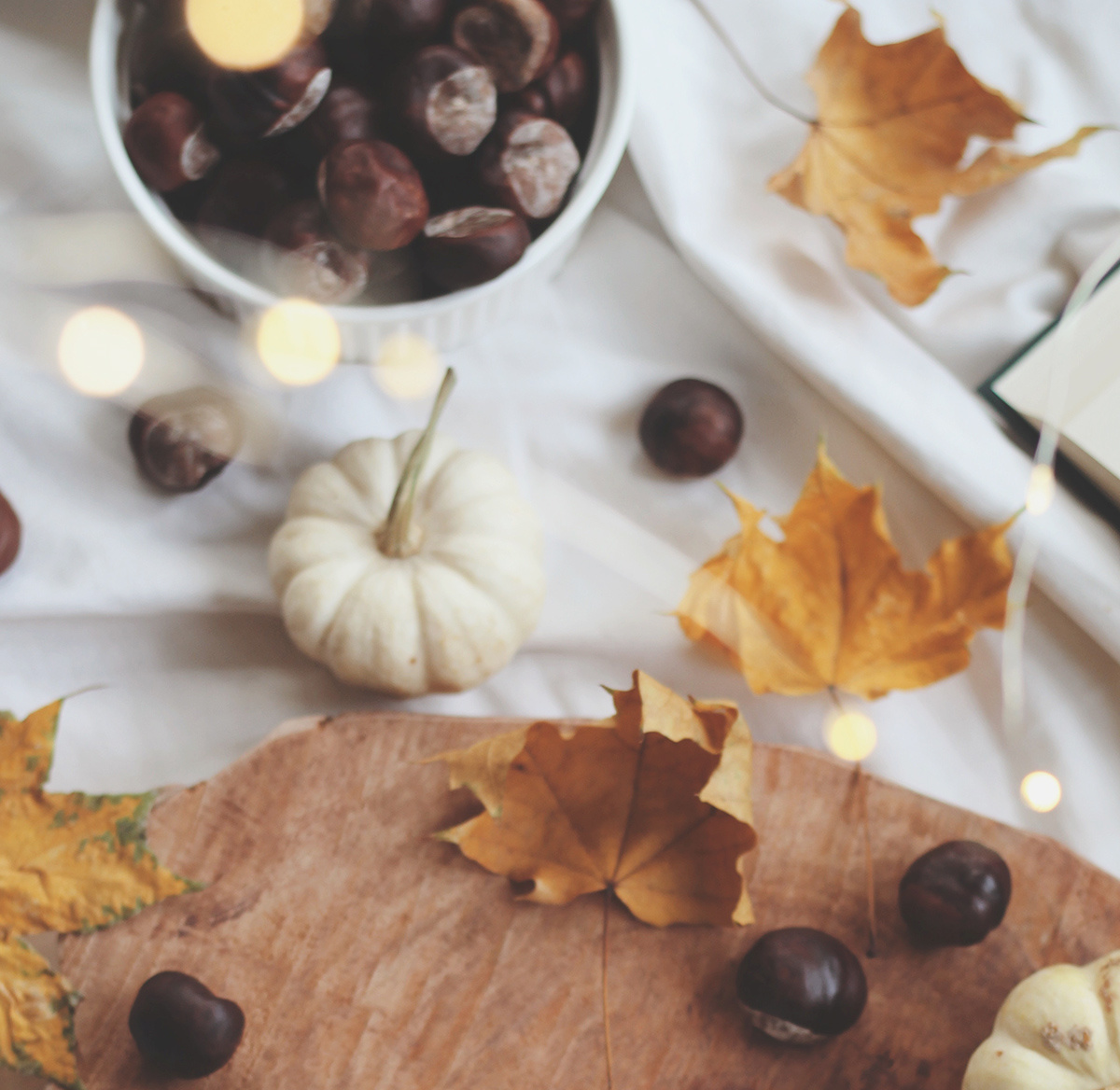 fall leaves, acorns and gourds on a tablecloth