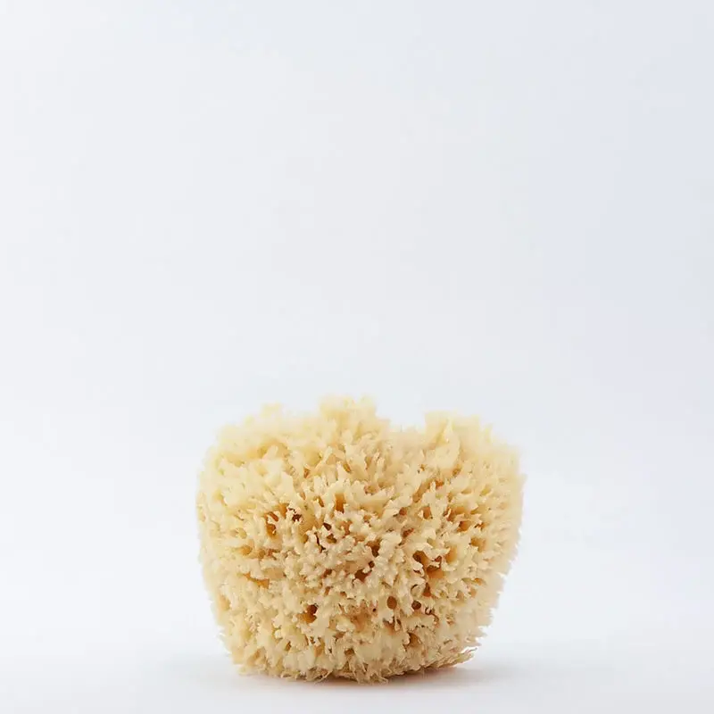 • Natural Sponge