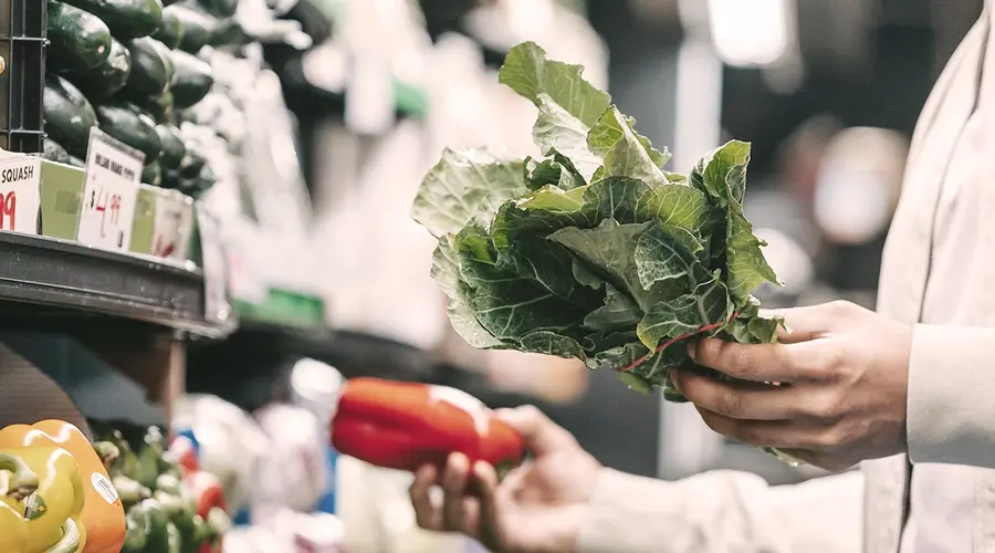 Food Sustainability to Nourish the Planet