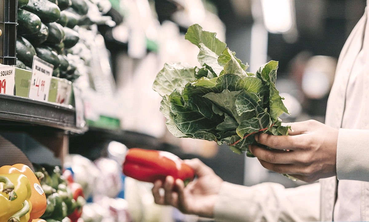 Food Sustainability to Nourish the Planet