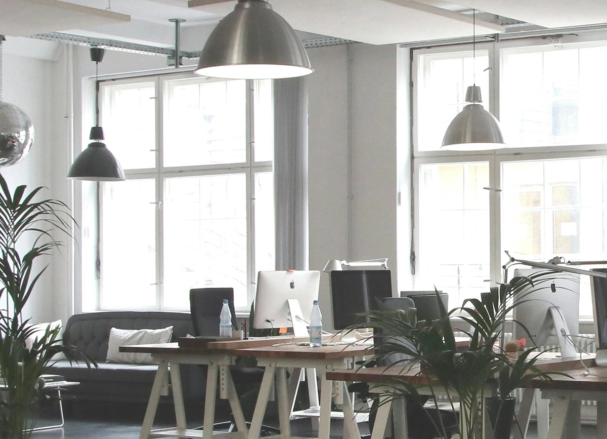 The Green Office: An Eco-Friendly Workspace