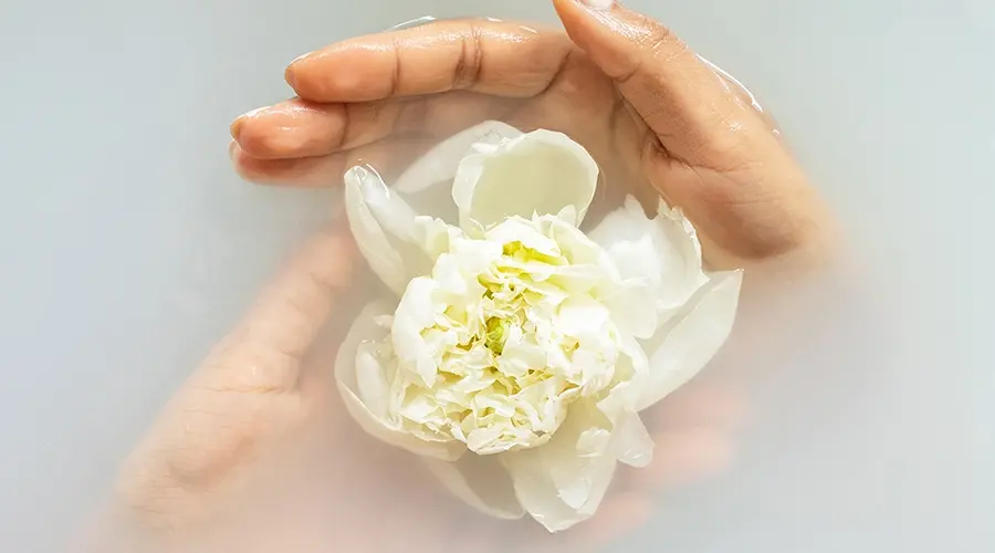 Happy Healthy Hands Made Sustainable