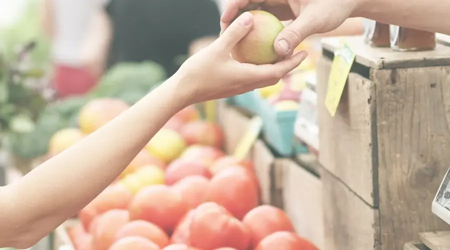 Your Guide to Zero-Waste Grocery Shopping