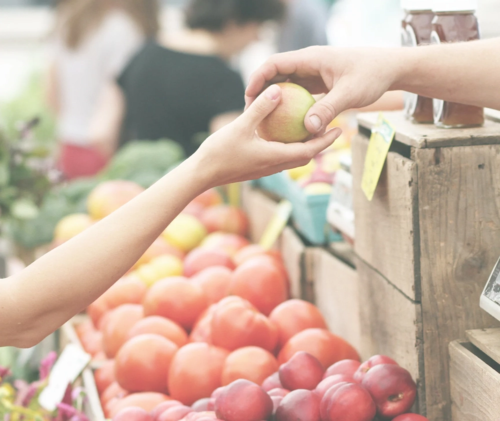 Your Guide to Zero-Waste Grocery Shopping