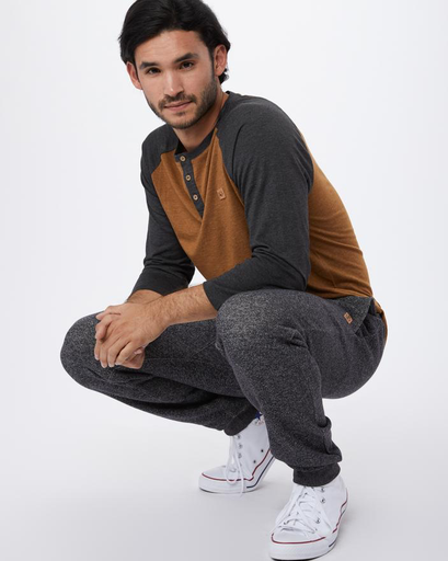 tentree atlas sweatpants
