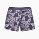 Roark Roark Men's Passage Napalms Boardshorts 17"