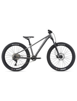 giant youth mountain bike