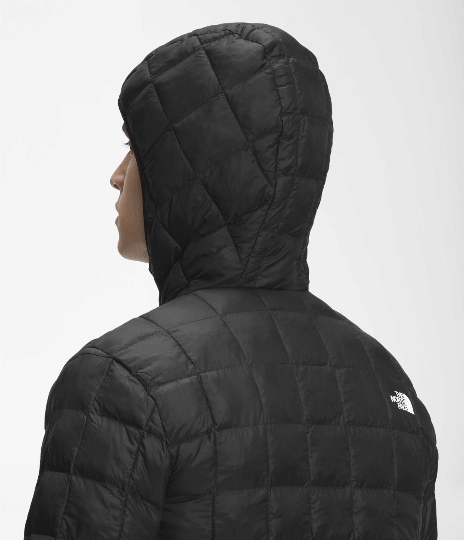 The North Face M's Thermoball Eco Hoodie | North Face Jackets | Canada -  Outtabounds