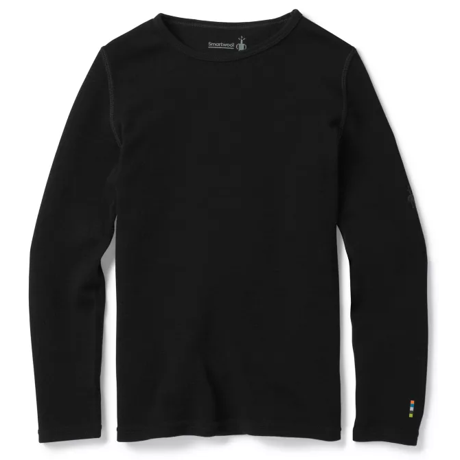 Smartwool Merino 250 Long Sleeve Base Layer Top